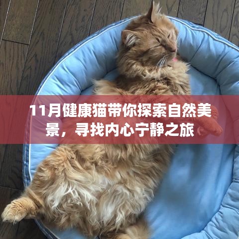 施工现场 第476页