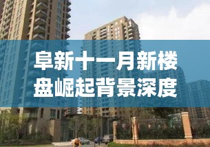 交货现场 第473页