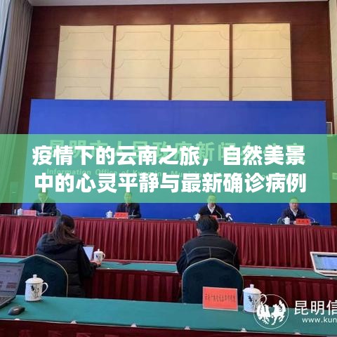 关于我们 第473页