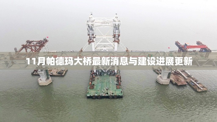 新闻资讯 第489页
