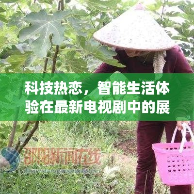 交货现场 第470页
