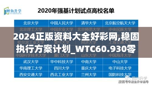 2024正版资料大全好彩网,稳固执行方案计划_WTC60.930零障碍版