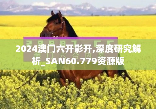 2024澳门六开彩开,深度研究解析_SAN60.779资源版