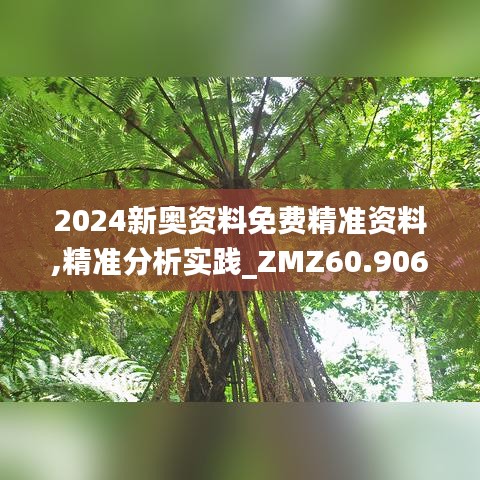 2024新奥资料免费精准资料,精准分析实践_ZMZ60.906影视版