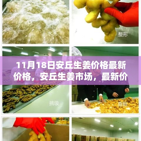 shuangtongjianshui 第20页