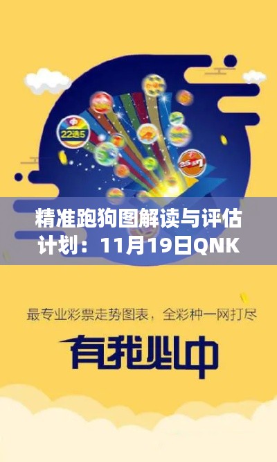 精准跑狗图解读与评估计划:11月19日QNK2.53.66神话版
