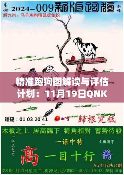 精准跑狗图解读与评估计划:11月19日QNK2.53.66神话版