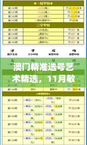 澳门精准选号艺术精选,11月敏捷解答与执行_XUO6.70.77环境版