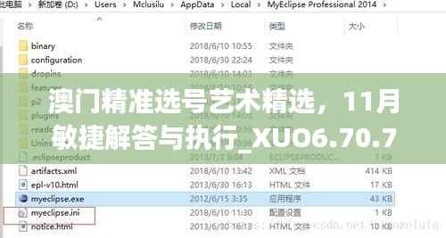 澳门精准选号艺术精选,11月敏捷解答与执行_XUO6.70.77环境版