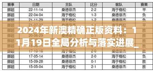 2024年新澳精确正版资料:11月19日全局分析与落实进展_DCW1.30.36个性版