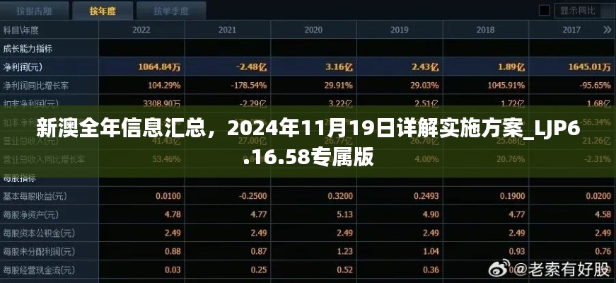 新澳全年信息汇总,2024年11月19日详解实施方案_LJP6.16.58专属版
