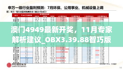 chibaichunhong 第18页