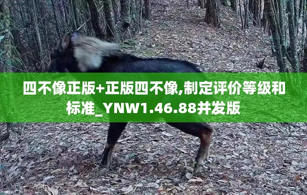 初遇在故事开头 第20页