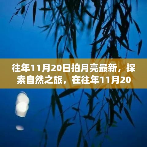 feiyipuhuo 第18页