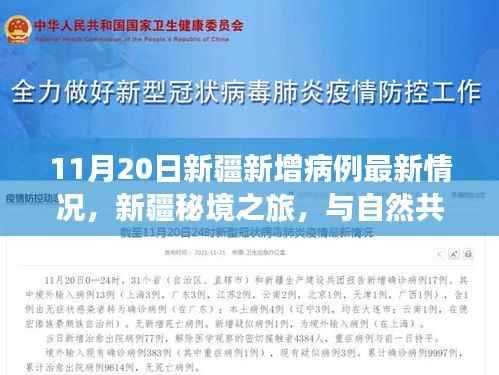 新疆新增病例背后的故事,秘境之旅探寻内心宁静的最新进展(最新情况)