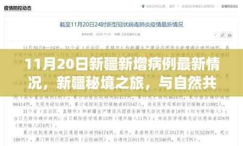 新疆新增病例背后的故事,秘境之旅探寻内心宁静的最新进展(最新情况)