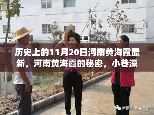 河南黄海霞的最新秘密与小巷深处的独特风味之旅探索