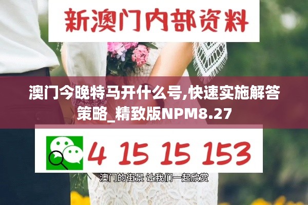 澳门今晚特马开什么号,快速实施解答策略_精致版NPM8.27