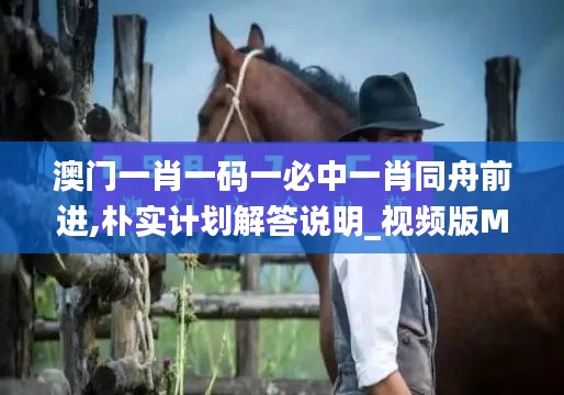 澳门一肖一码一必中一肖同舟前进,朴实计划解答说明_视频版MSY1.14