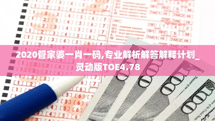 2020管家婆一肖一码,专业解析解答解释计划_灵动版TOE4.78