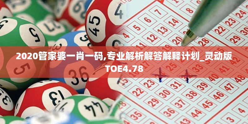 2020管家婆一肖一码,专业解析解答解释计划_灵动版TOE4.78