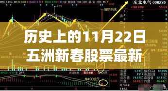 历史上的11月22日五洲新春股票最新消息及其多维度思考影响概览