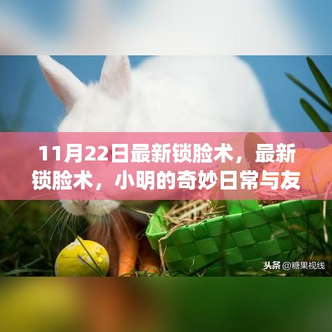 最新锁脸术揭秘，小明的友情魔法与奇妙日常