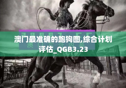 澳门最准确的跑狗图,综合计划评估_QGB3.23