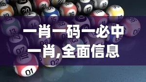 一肖一码一必中一肖,全面信息解释定义_UNN3.15