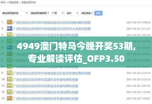 4949澳门特马今晚开奖53期,专业解读评估_OFP3.50