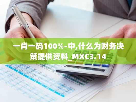 一肖一码100%-中,什么为财务决策提供资料_MXC3.14