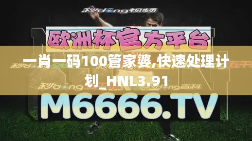 一肖一码100管家婆,快速处理计划_HNL3.91