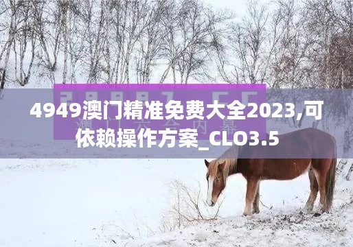 4949澳门精准免费大全2023,可依赖操作方案_CLO3.5