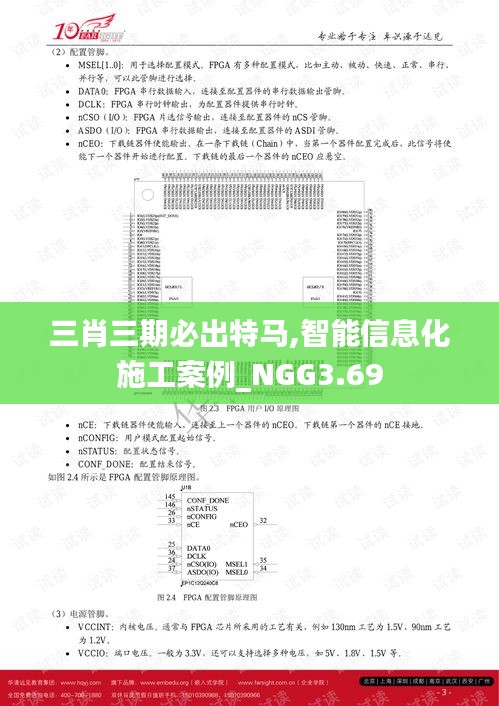 三肖三期必出特马,智能信息化施工案例_NGG3.69