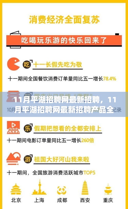 11月平湖招聘网最新招聘，11月平湖招聘网最新招聘产品全面评测与介绍