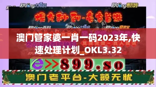 澳门管家婆一肖一码2023年,快速处理计划_OKL3.32