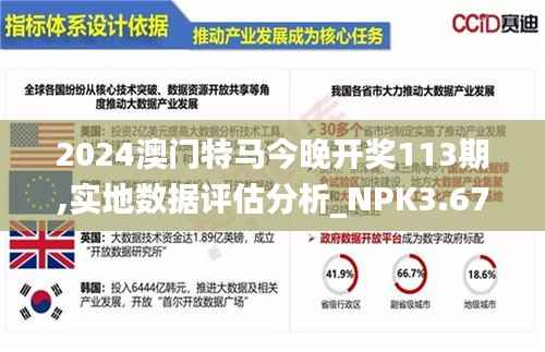2024澳门特马今晚开奖113期,实地数据评估分析_NPK3.67
