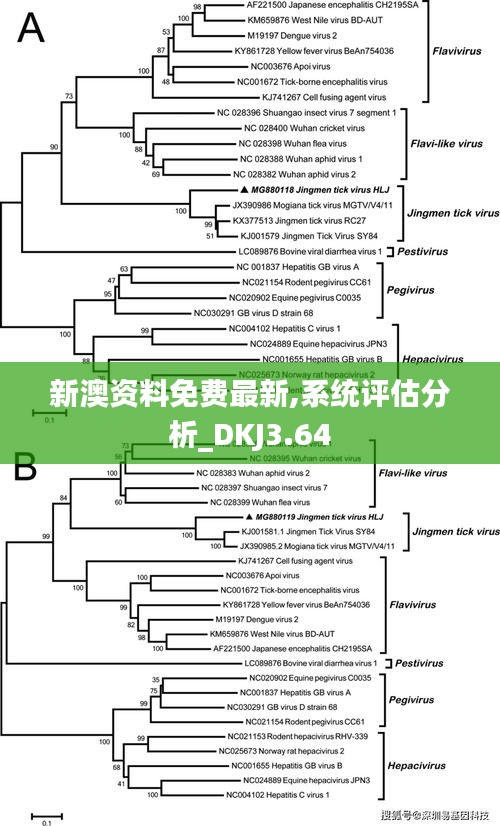 新澳资料免费最新,系统评估分析_DKJ3.64