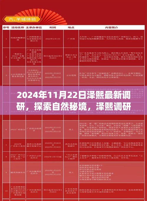 2024年11月22日泽熙最新调研，探索自然秘境，泽熙调研之旅，一场寻找内心平静的奇妙探险