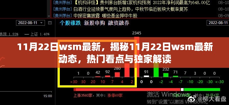 11月22日wsm最新，揭秘11月22日wsm最新动态，热门看点与独家解读