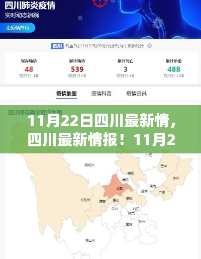 11月22日四川最新情，四川最新情报！11月22日深度解析带你了解四川最新动态📢