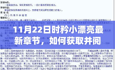 11月22日时矜小漂亮最新章节获取与阅读指南（初学者与进阶用户适用）