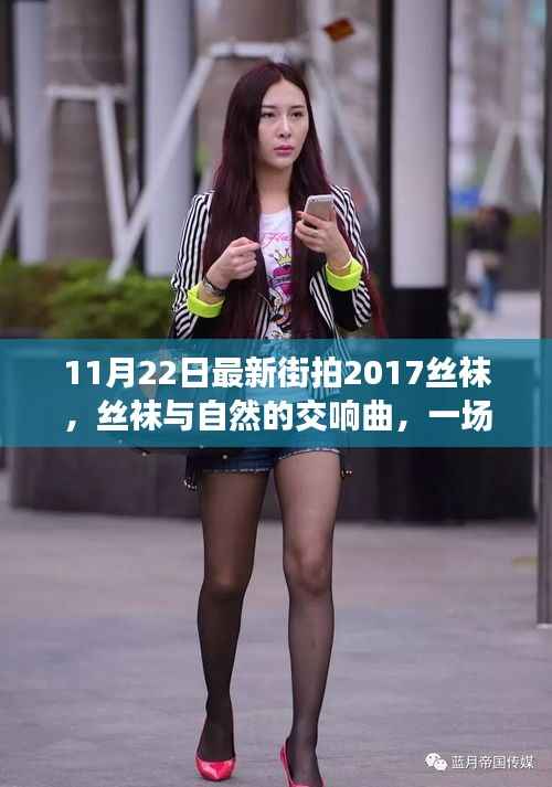 丝袜与自然的交响曲,寻找内心平静的冒险之旅