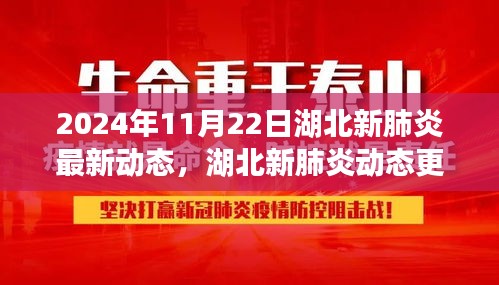 2024年11月22日湖北新肺炎最新动态，湖北新肺炎动态更新，2024年11月22日全面解读