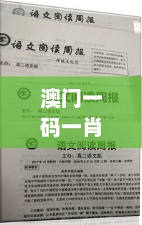 澳门一码一肖一待一中四不像331期,深入研究执行计划_原汁原味版BTF11.73