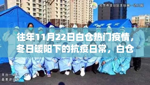 白仓小镇冬日抗疫故事，暖阳下的温馨抗疫日常