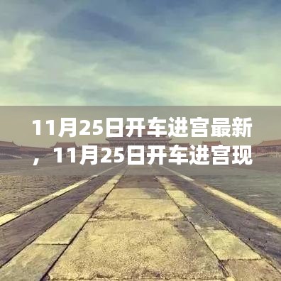 feilaifeiqu 第14页