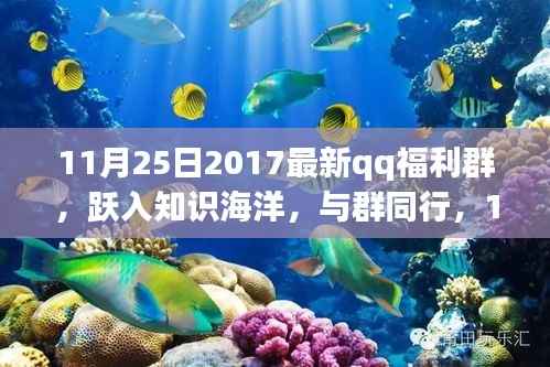 11月25日QQ福利群启航新征程,跃入知识海洋,与群友同行共享福利