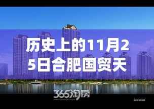 历史上的11月25日合肥国贸天悦热门动态揭秘与深度解读