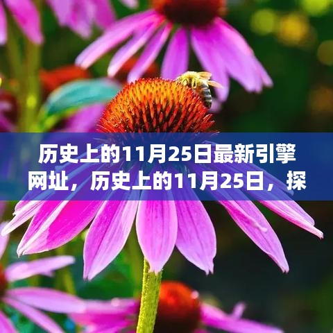 历史上的11月25日最新引擎网址，历史上的11月25日，探索自然美景之旅，启程寻找内心的平和绿洲